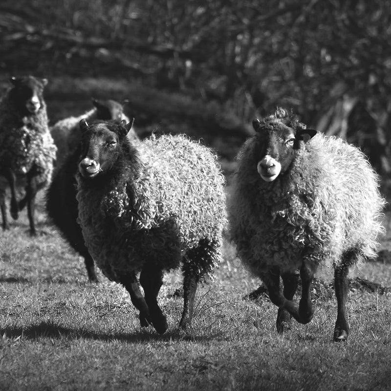 glerups is turning 30 years â glerups.co.uk